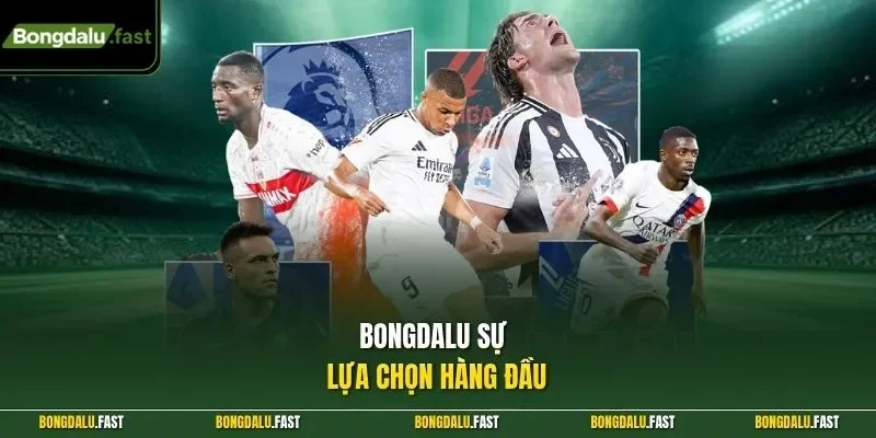 Bongdalu sự lựa chọn hàng đầu