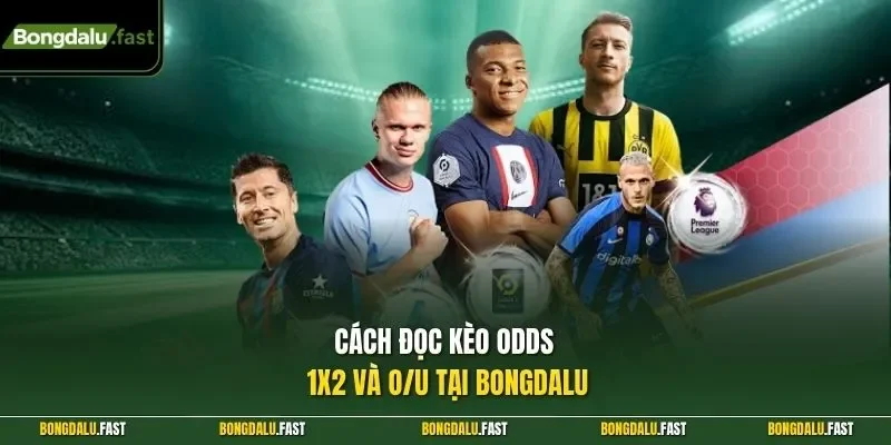 Cách đọc kèo Odds 1X2 và O/U tại Bongdalu