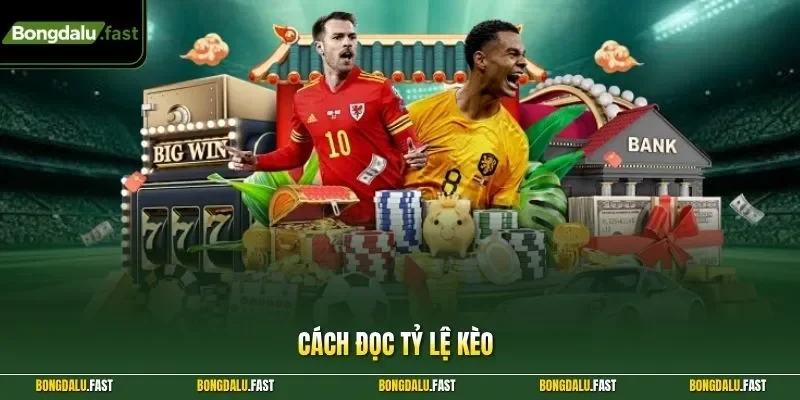 cách đọc tỷ lệ kèo