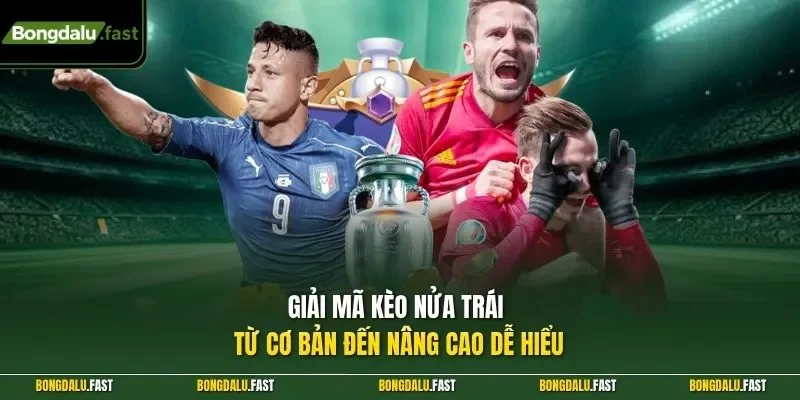 Giải mã kèo nửa trái từ cơ bản đến nâng cao dễ hiểu