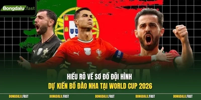 Hiểu rõ về sơ đồ đội hình dự kiến Bồ Đào Nha tại World Cup 2026