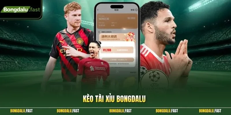 kèo tài xỉu