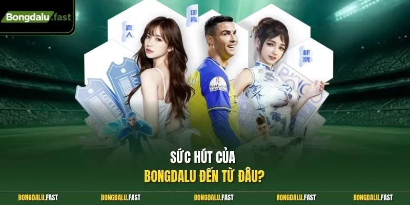 Sức hút của Bongdalu đến từ đâu?