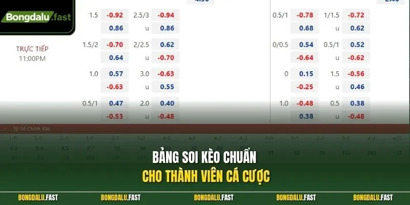 Bảng soi kèo chuẩn cho thành viên cá cược