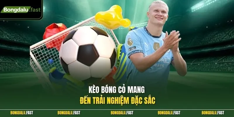 Kèo bóng cỏ mang đến trải nghiệm đặc sắc